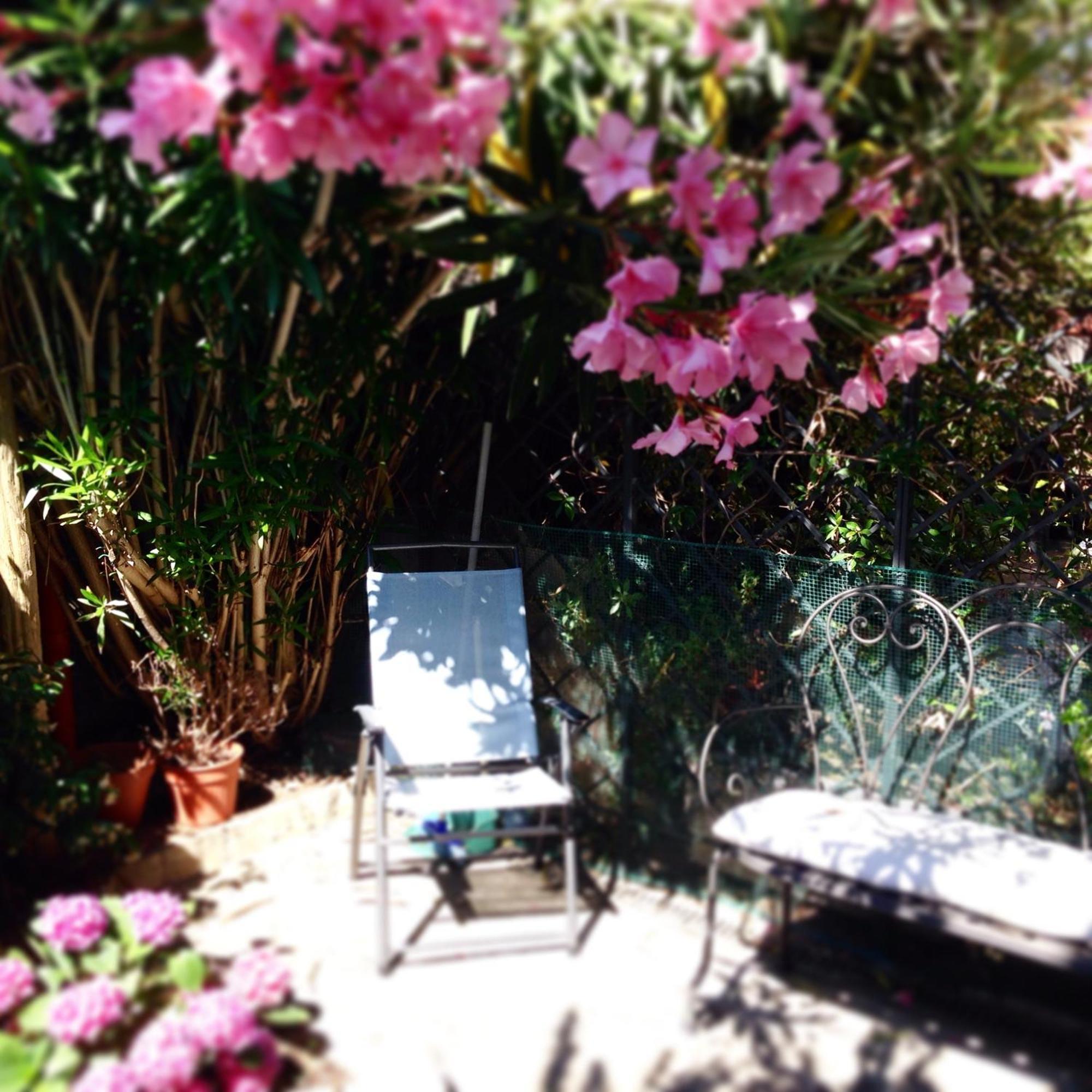 Terrazza Ginori Bed and Breakfast Sesto Fiorentino Rum bild